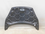 Капот для Ford Fiesta VI 2008-2017, OEM 2002312 - вид 6 (фото)