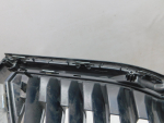 Решетка радиатора для Skoda Rapid 2020>, OEM 60U853668 - вид 7 (фото)