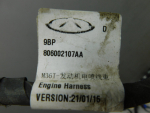Проводка (коса) для Exeed VX 2021>, OEM 806002107AA - вид 7 (фото)