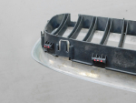Решетка радиатора для BMW X5 E53 2000-2007, OEM 51138247673 - вид 5 (фото)