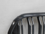 Решетка радиатора для BMW X6 G06 2019>, OEM 51138079731 - вид 6 (фото)